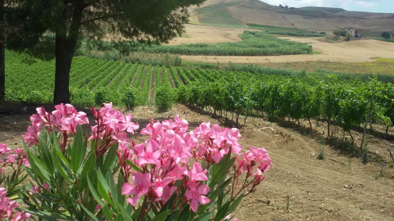 Terre Di Gratia Bed & Breakfast Camporeale ภายนอก รูปภาพ